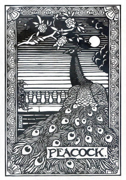 Peacock- 5 inch by 8 inch mounted portrait print
