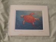 Load image into Gallery viewer, Turtle- 7 inch by 5 inch mounted landscape print